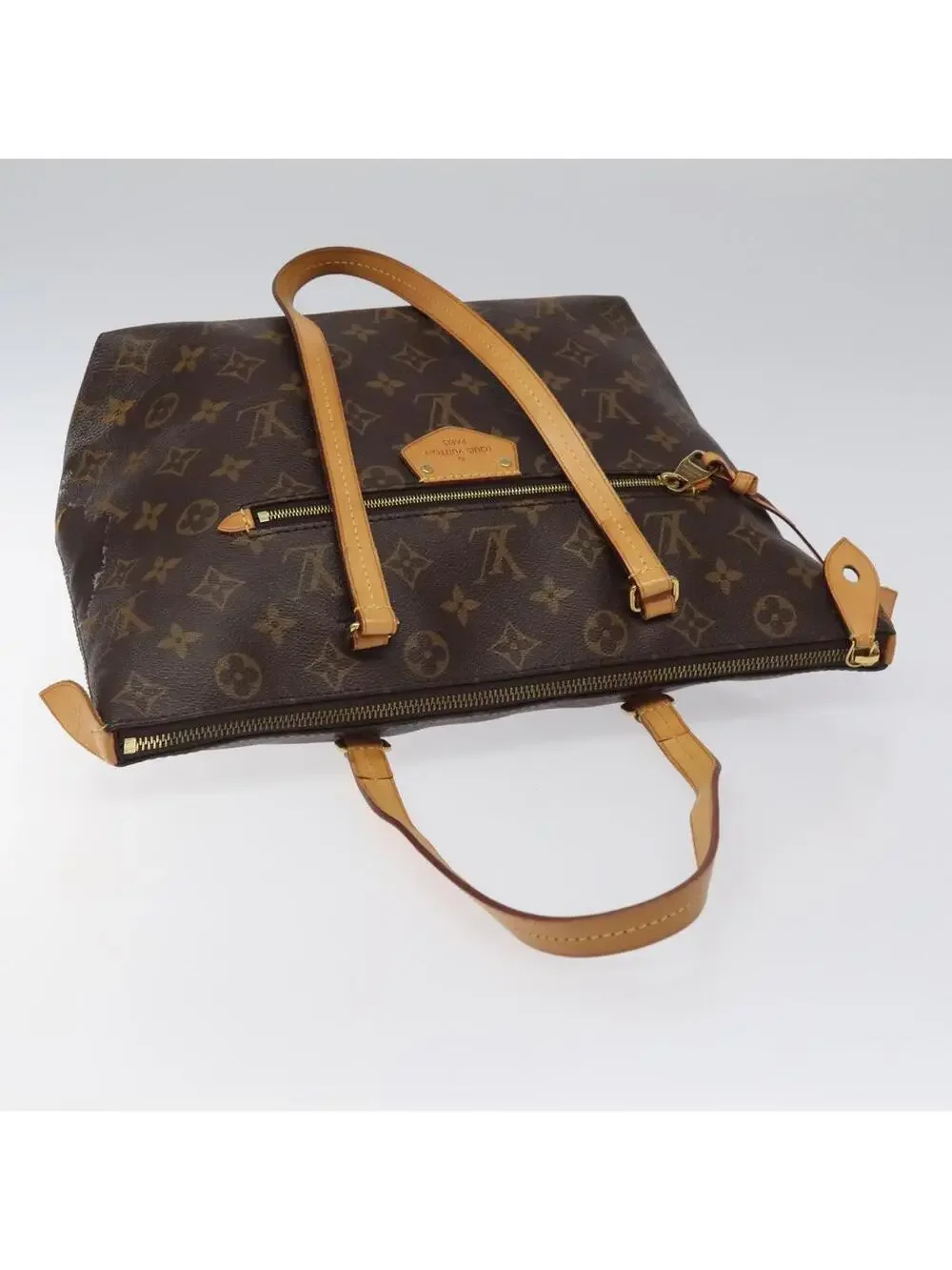 Louis Vuitton Jena Pm Tote Bag Lv Auth #344084L58B